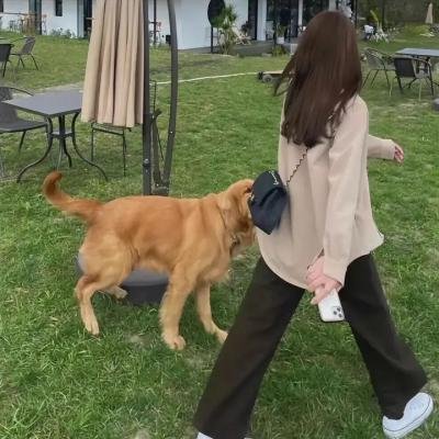 人工性智能